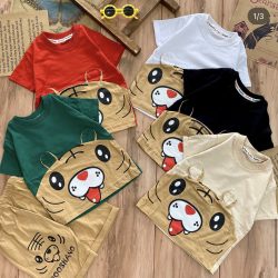 تیشرت شلوارک ببری