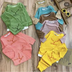 بلوز شلوار بیسکوییتی گوزن3125