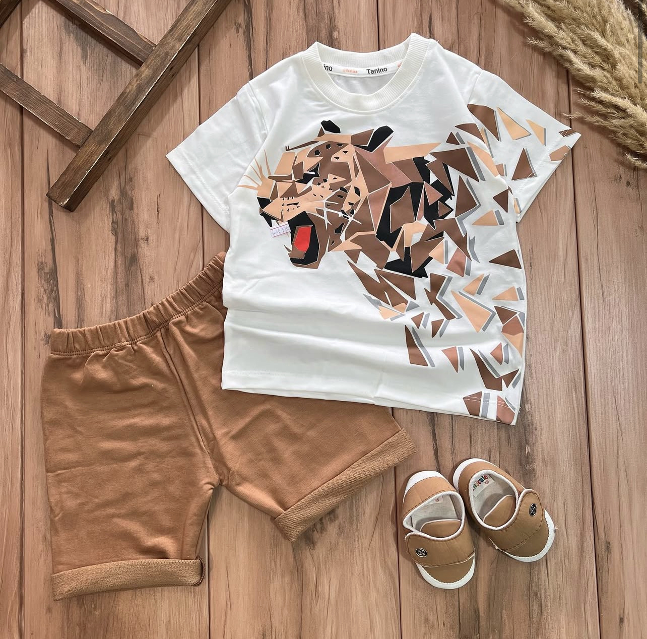 IMG_7338 تیشرت شلوارک ببر(کیفیت عالی) - Image 1